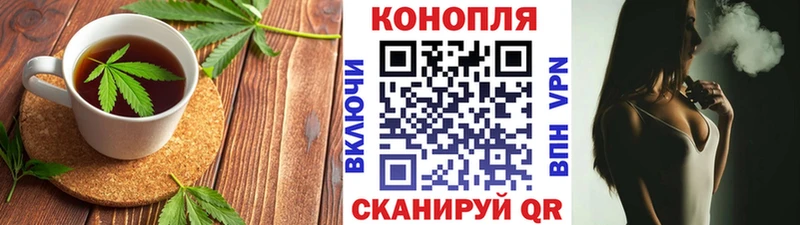 MEGA как войти  Сясьстрой  Еда ТГК марихуана  магазин   