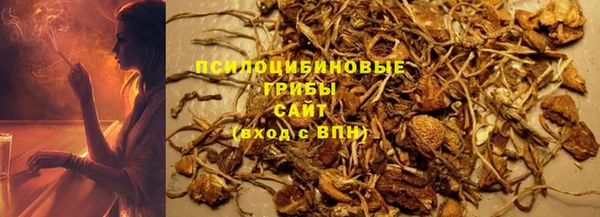 СК Аркадак