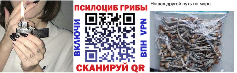 Псилоцибиновые грибы мицелий  наркошоп  Сясьстрой 